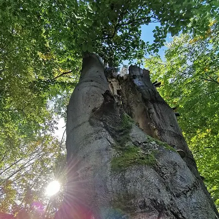 Appartamento Karancsvölgyi
