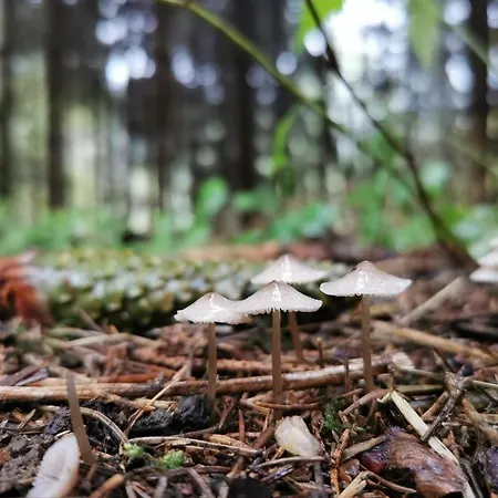 Karancsvölgyi Appartamento Karancsbereny