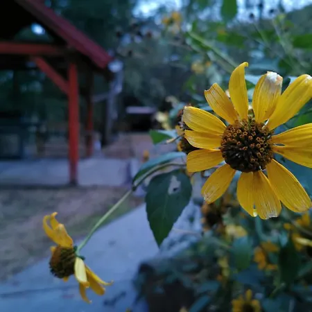 Karancsvoelgyi Pihenohaz Daire *