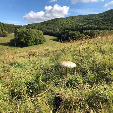 Karancsvoelgyi Pihenohaz Apartment Karancsbereny