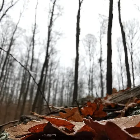 Karancsvoelgyi Pihenohaz *