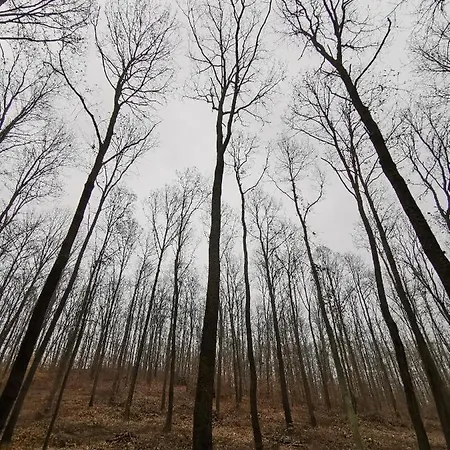 Daire Karancsvoelgyi Pihenohaz