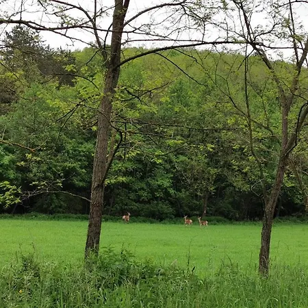 Daire Karancsvoelgyi Pihenohaz Karancsbereny