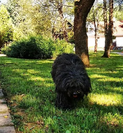 Daire Karancsvoelgyi Pihenohaz Karancsbereny