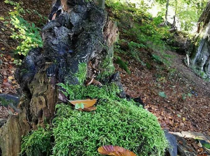 Karancsvoelgyi Pihenohaz Karancsbereny