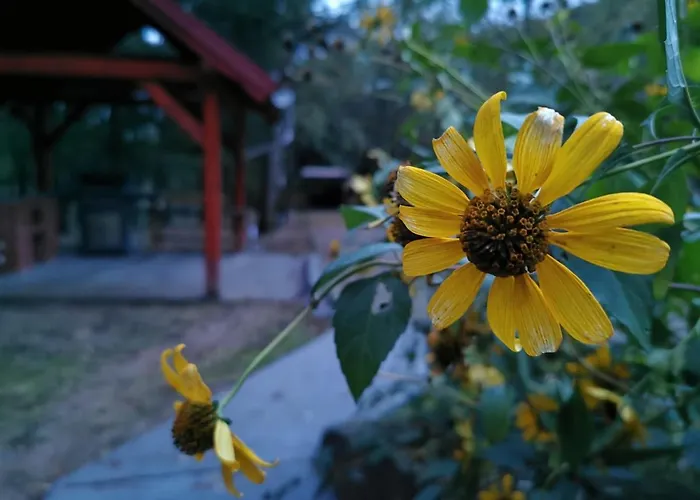 Karancsvoelgyi Pihenohaz Apartament *