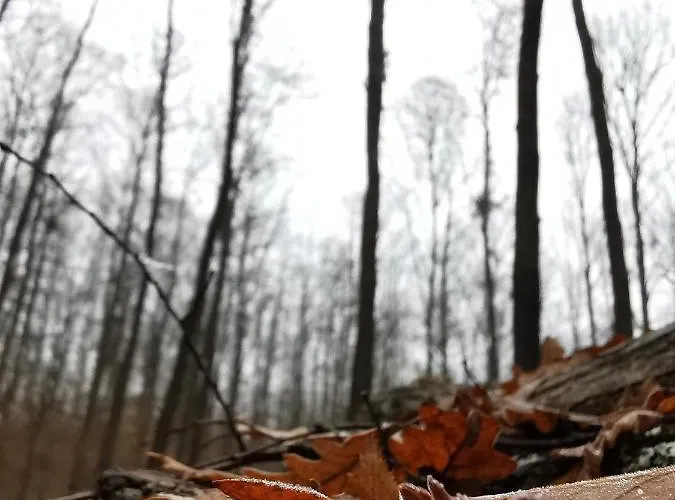 Karancsvoelgyi Pihenohaz *