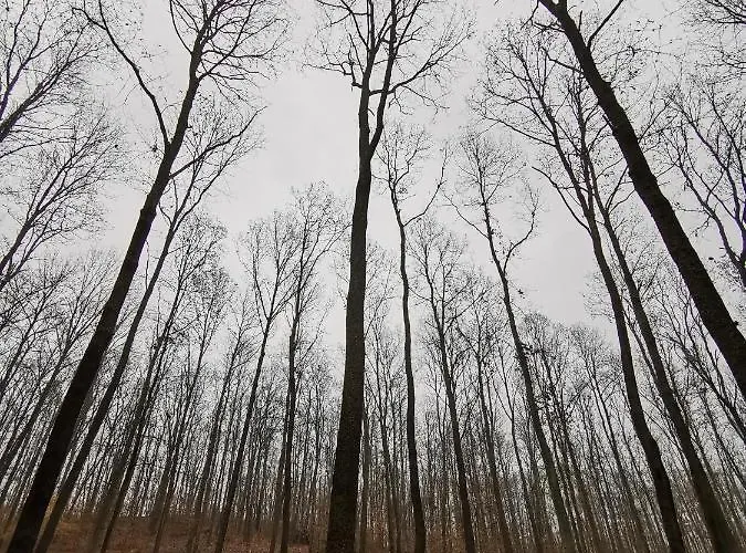 Apartament Karancsvoelgyi Pihenohaz