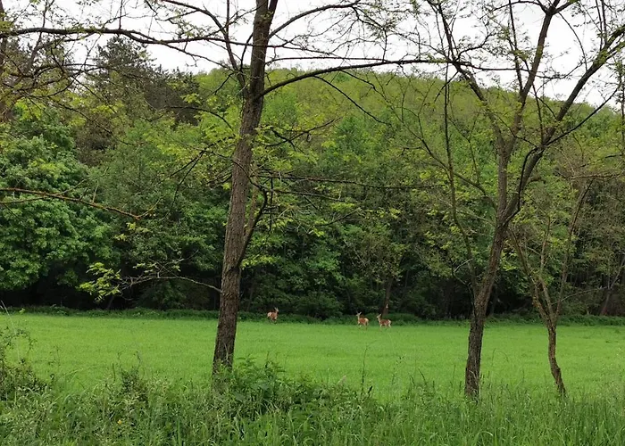 Apartament Karancsvoelgyi Pihenohaz Karancsbereny