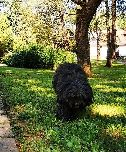 Apartament Karancsvoelgyi Pihenohaz Karancsbereny